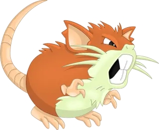 Raticate acompanhando a operação
